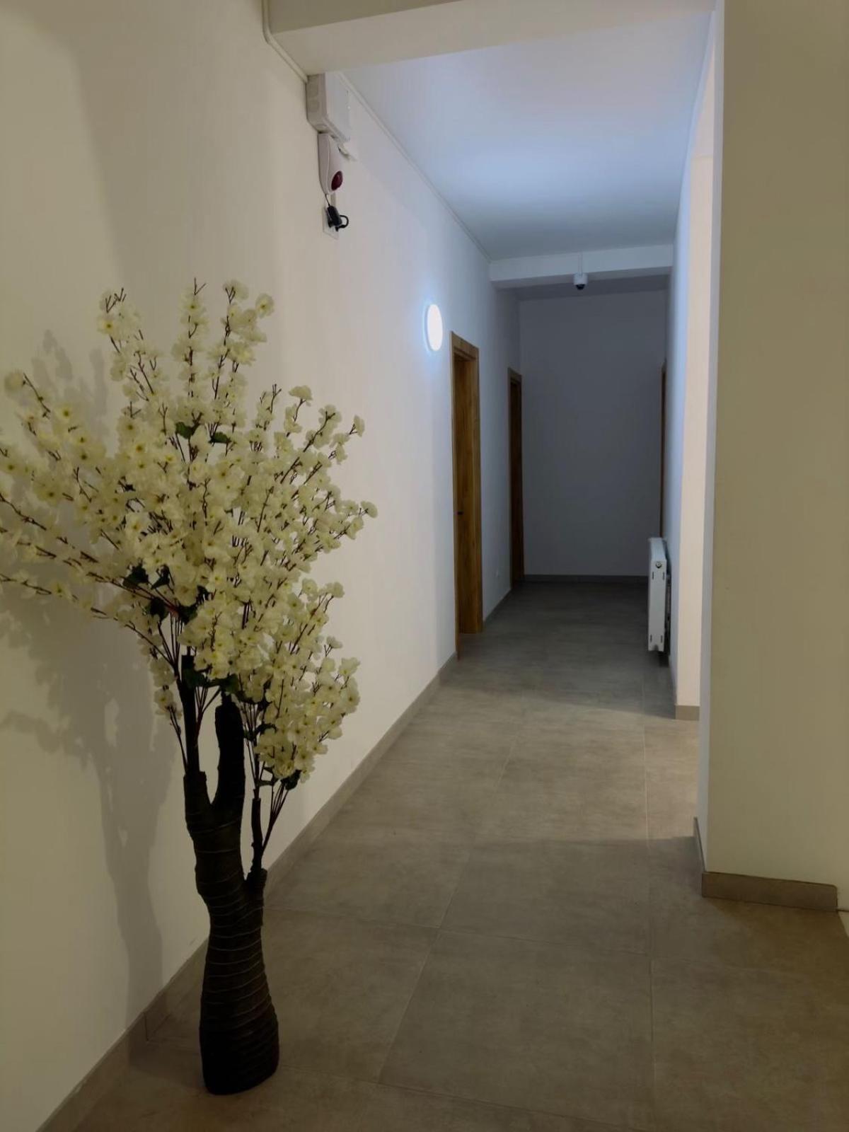 فندق Chalet Kazbegi المظهر الخارجي الصورة